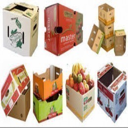 CUSTOM PRINTED FOOD GRADE CORRUGATED BOX